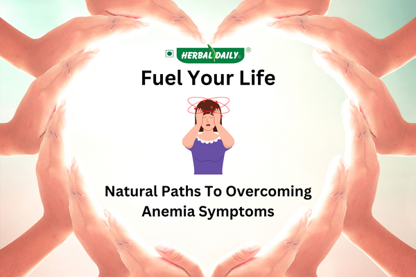 Natural Paths To Overcoming Anemia Symptoms / Type / Causes / Best Supplements / Risk Factors / Summary