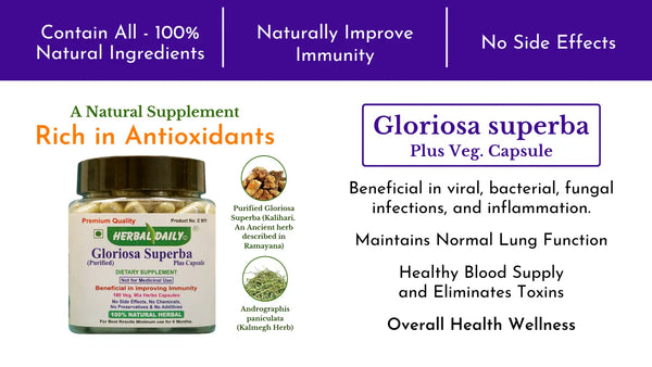 Herbal daily Gloriosa superba Plus capsule for USA immune system booster, natural remedies Beneficial in viral, bacterial, fungal infections, and inflammation